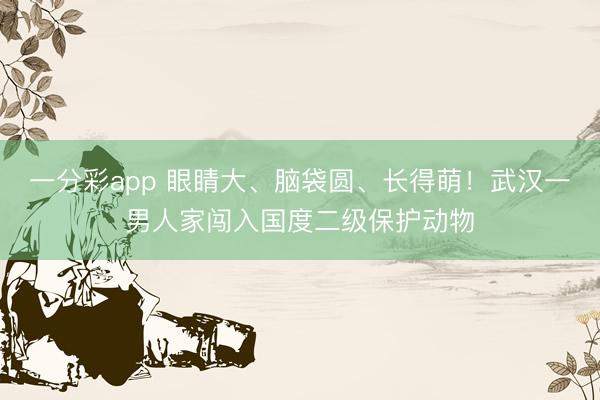 一分彩app 眼睛大、脑袋圆、长得萌！武汉一男人家闯入国度二级保护动物