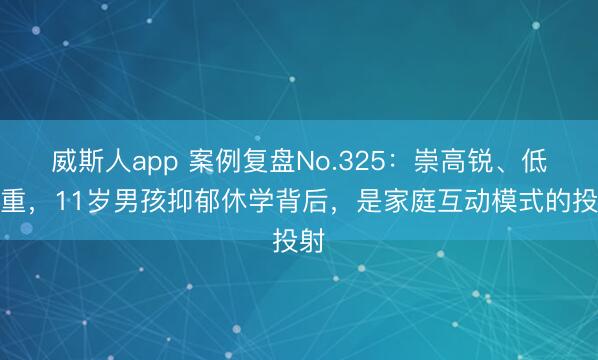 威斯人app 案例复盘No.325：崇高锐、低自重，11岁男孩抑郁休学背后，是家庭互动模式的投射