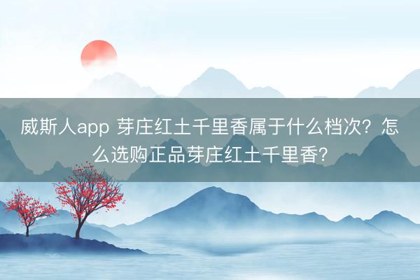 威斯人app 芽庄红土千里香属于什么档次？怎么选购正品芽庄红土千里香？