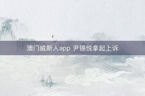 澳门威斯人app 尹锡悦拿起上诉