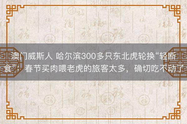 澳门威斯人 哈尔滨300多只东北虎轮换“轻断食”:春节买肉喂老虎的旅客太多,确切吃不动了
